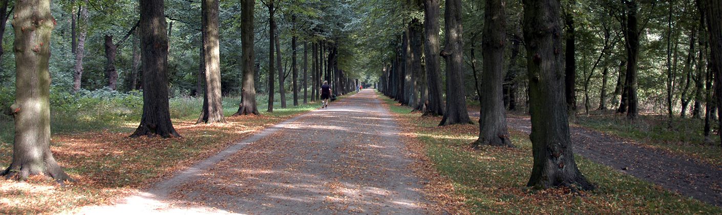 Silcc - Haus mit Garten im Sommer